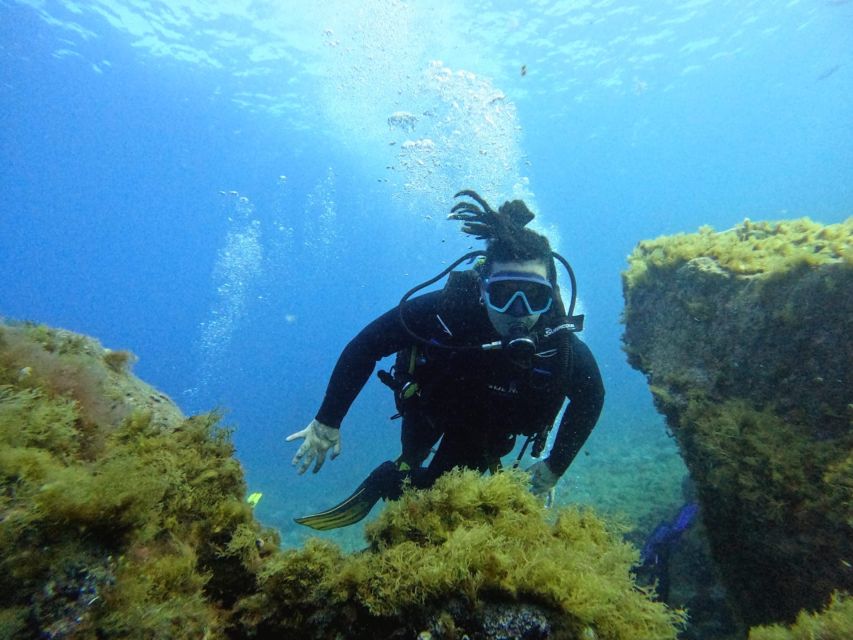 Tenerife: Beginner's Dive at a Spot with Turtle Sightings - Is $82 fair for the experience?