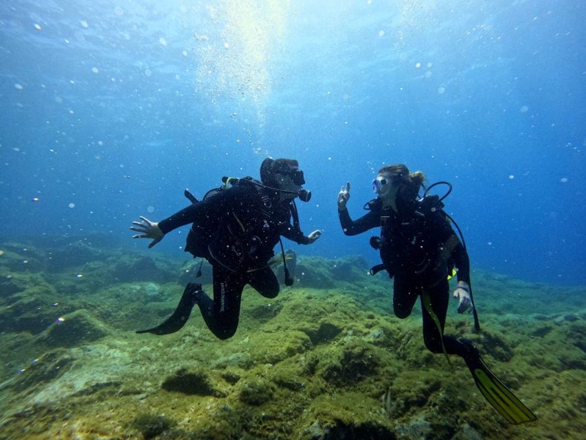 Tenerife: Beginner's Dive at a Spot with Turtle Sightings - The important Teide and flight restriction