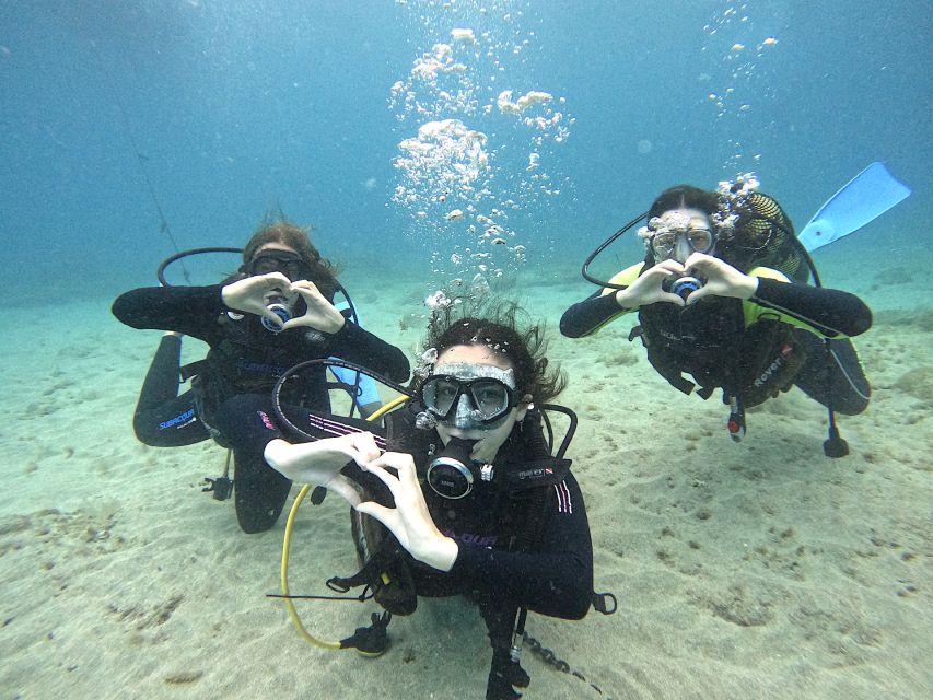 Tenerife: Beginner's Dive at a Spot with Turtle Sightings - The 15-minute speedboat ride along Tenerife’s coast