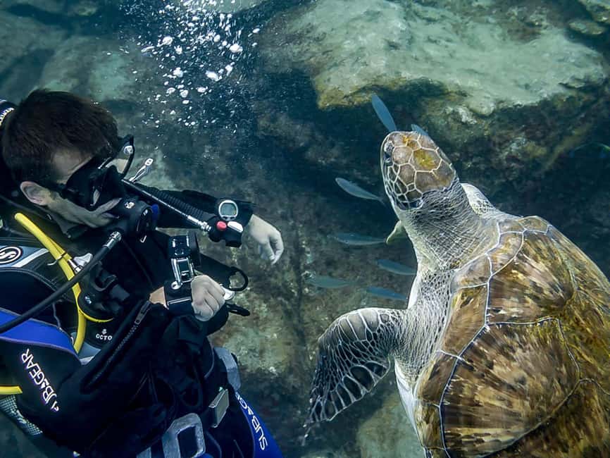 Tenerife: Beginner Scuba Diving Experience with Pickup - Quick facts about this Tenerife scuba experience