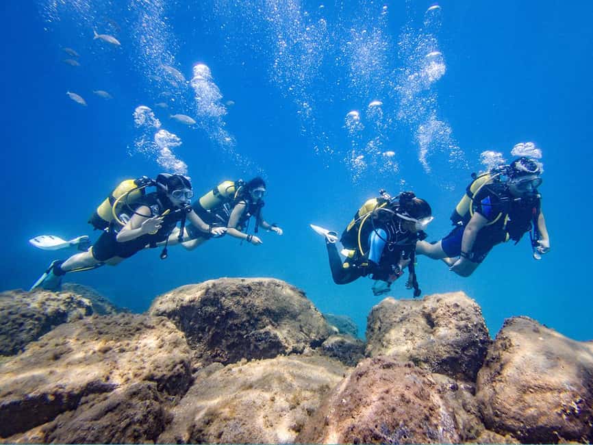 Tenerife: Beginner Scuba Diving Experience with Pickup - Who will enjoy this most?