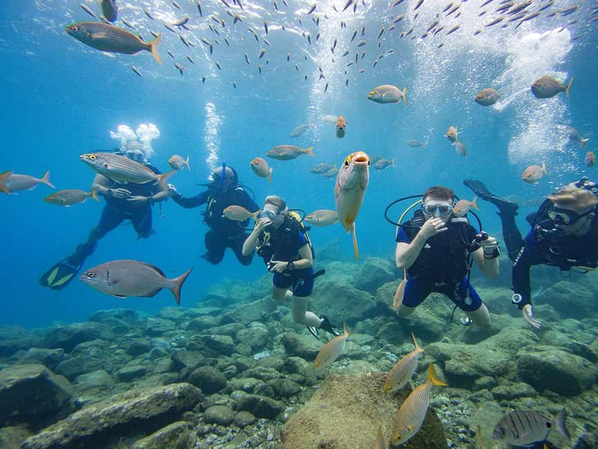 Tenerife: Beginner Scuba Diving Experience with Pickup - A gentle first step below Tenerife’s surface