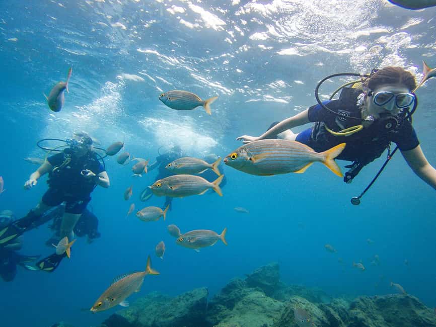 Tenerife: Beginner Scuba Diving Experience with Pickup - The 30-minute briefing and equipment lesson