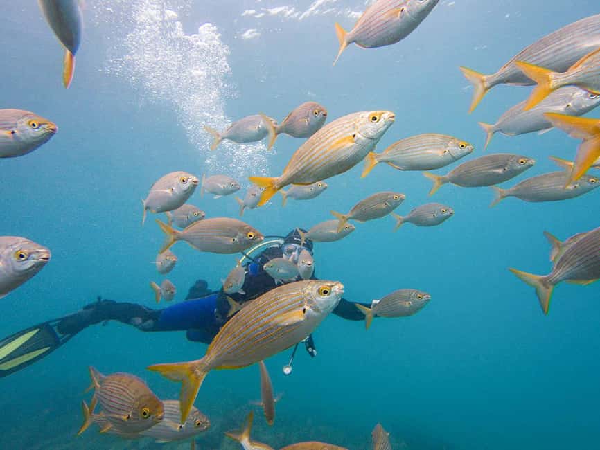 Tenerife: Beginner Scuba Diving Experience with Pickup - Local transport and the route to the water