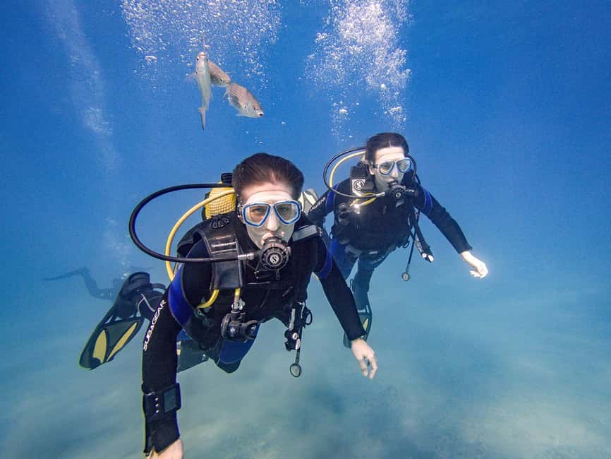 Tenerife: Beginner Scuba Diving Experience with Pickup - What happens during the underwater session