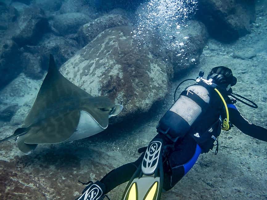 Tenerife: Beginner Scuba Diving Experience with Pickup - Patient instructors make the biggest difference