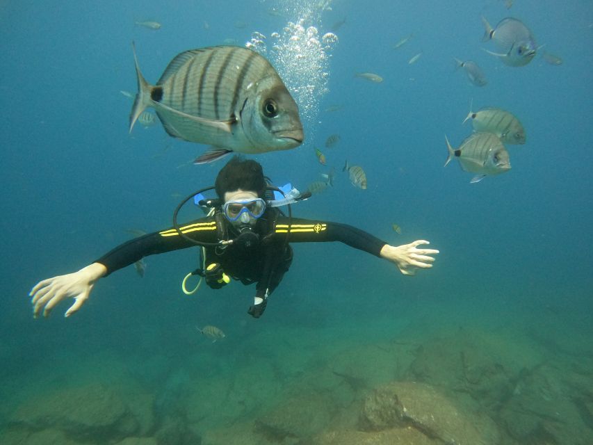 Tenerife: Beginners Scuba Dive Experience in Turtle Area - Getting started at Puerto Colón