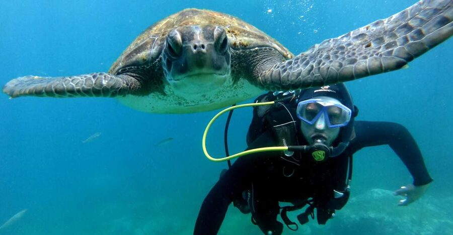 Tenerife: Beginners Scuba Dive Experience in Turtle Area - The 15-minute speedboat ride