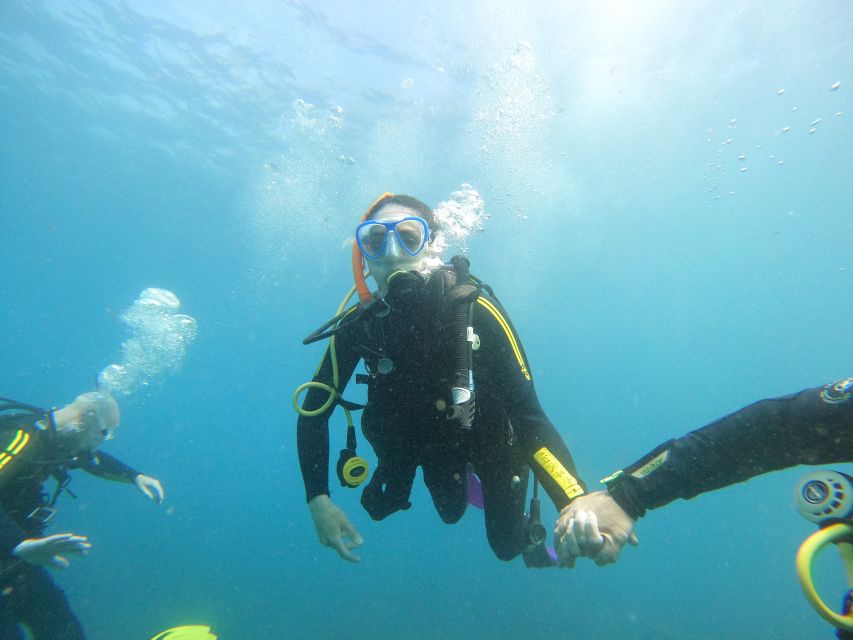 Tenerife: Beginners Scuba Dive Experience in Turtle Area - The 25-minute snorkeling safari