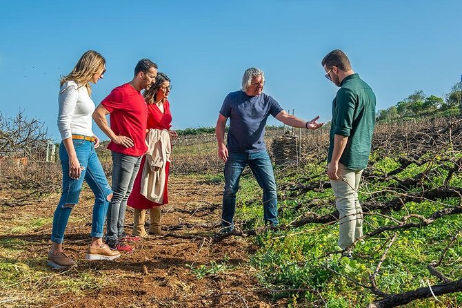 Tenerife Bodegas Monje Winery Tour with Wine and Cheese Tasting - Who will enjoy this winery visit most?