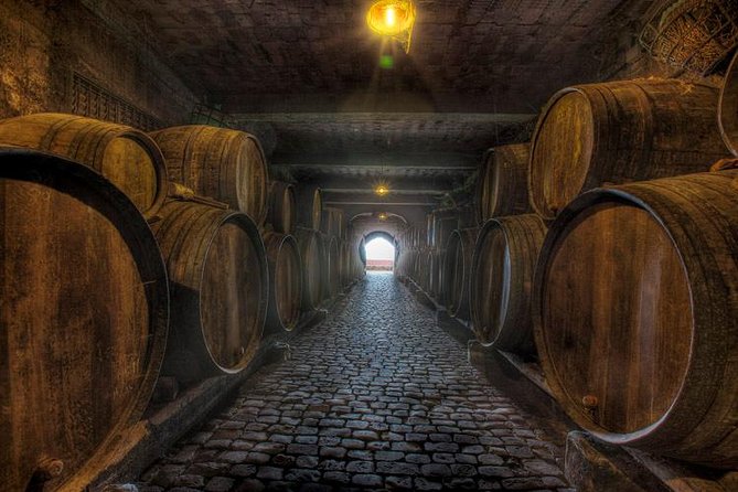 Tenerife Bodegas Monje Winery Tour with Wine and Cheese Tasting - Four wines, four Canarian cheeses