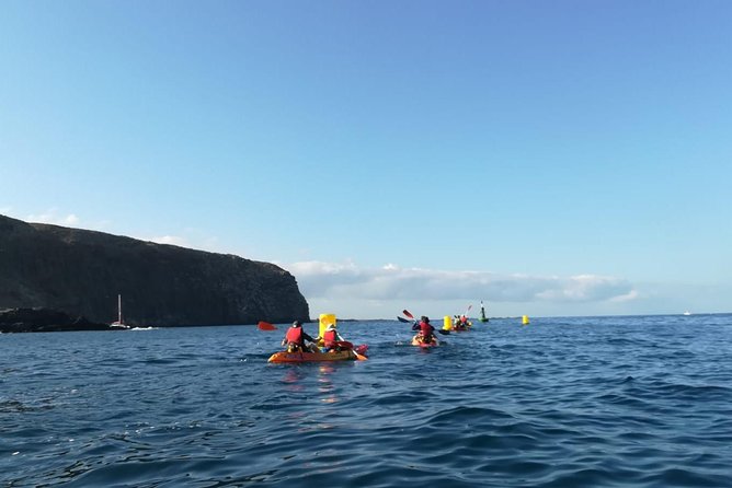 Tenerife by Kayak Adventure in small group - The best parts at a glance