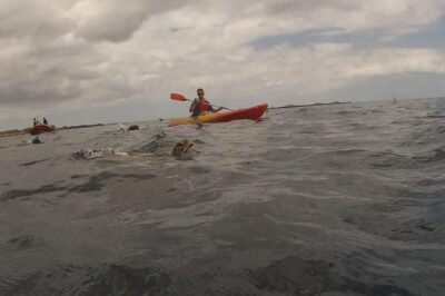 Tenerife by Kayak Adventure in small group