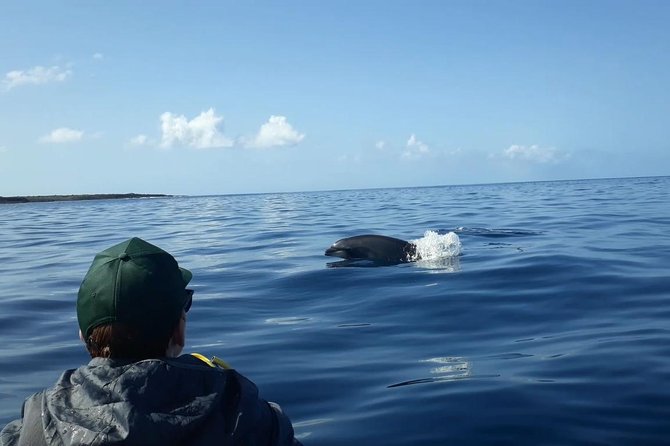 Tenerife by Kayak Adventure in small group - What the equipment and small group mean for you