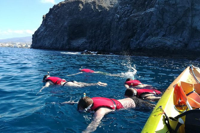 Tenerife by Kayak Adventure in small group - Is this suitable for your fitness level?