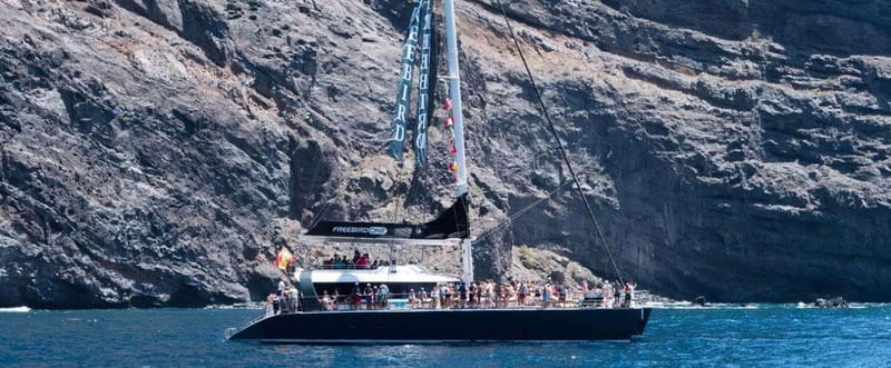 Tenerife: Catamaran Cruise with an Open Bar - A catamaran view of Tenerife’s western coast