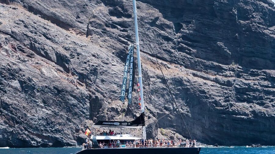 Tenerife: Catamaran Cruise with an Open Bar - Who will enjoy this cruise most