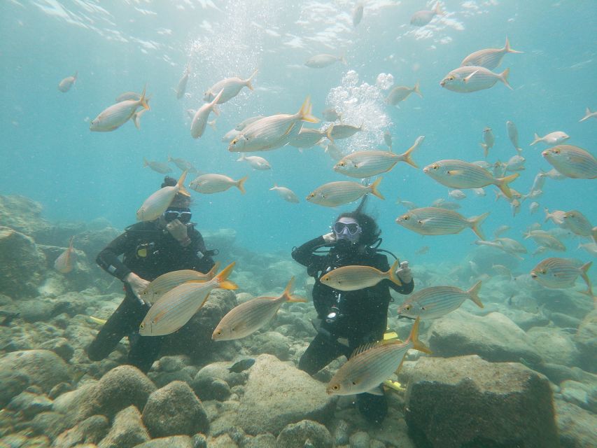 Tenerife: Costa Adeje Private Diving Lesson Experience - Entering Costa Adeje’s clear water