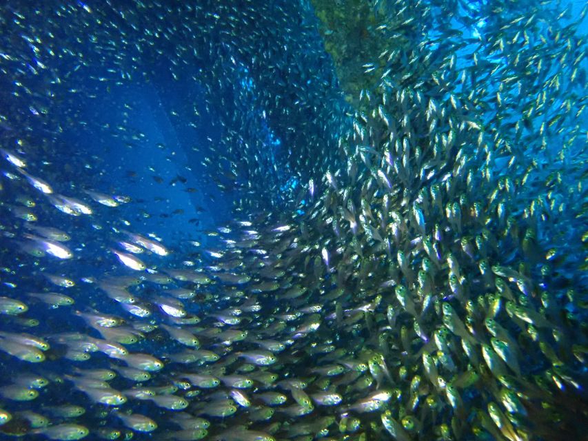 Tenerife: Costa Adeje Private Diving Lesson Experience - Why the private teaching matters