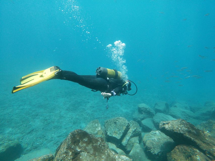 Tenerife: Costa Adeje Private Diving Lesson Experience - The $79 price and what it includes