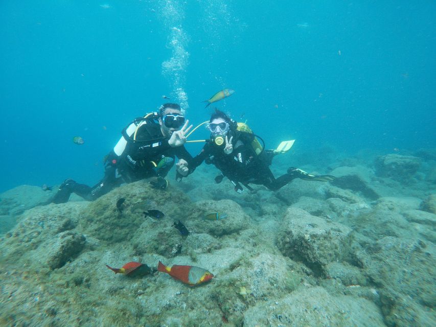 Tenerife: Costa Adeje Private Diving Lesson Experience - Learning the gear and breathing basics