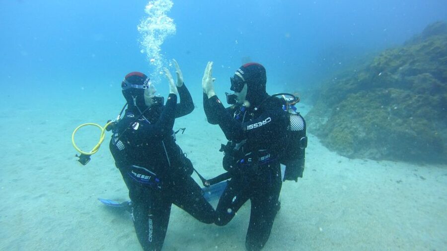 Tenerife: Discover Scuba Diving with Free Photos - Starting at Marina del Sur in Puerto de las Galletas