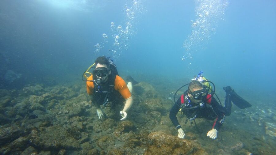 Tenerife: Discover Scuba Diving with Free Photos - Reaching 12 meters along Tenerife’s volcanic coast