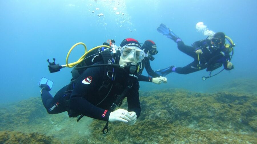 Tenerife: Discover Scuba Diving with Free Photos - Who will enjoy this first scuba session