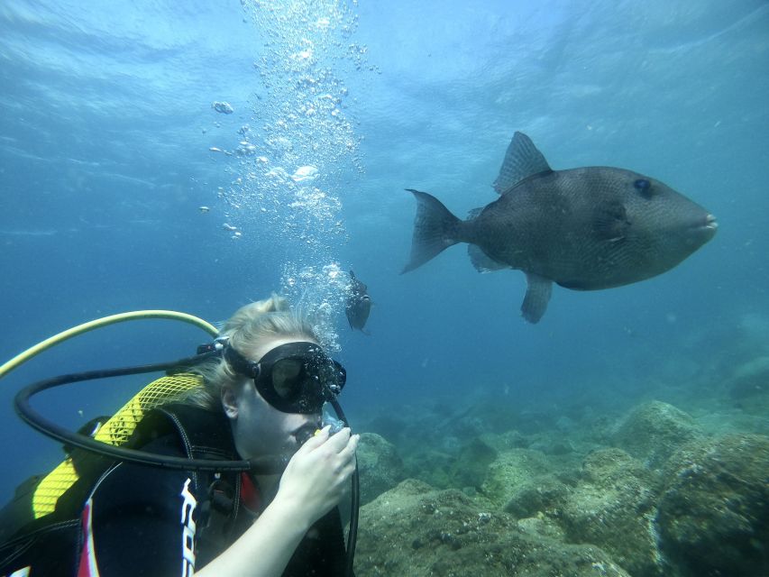 Tenerife : Diving License international in one day - A first scuba license from Abades beach