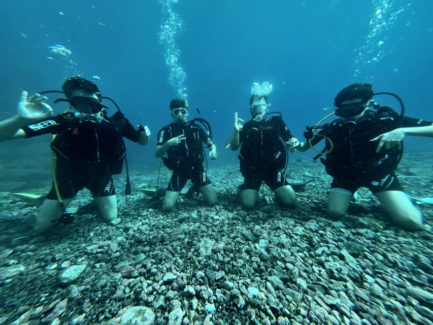 Tenerife : Diving License international in one day - What the license allows, and what it does not