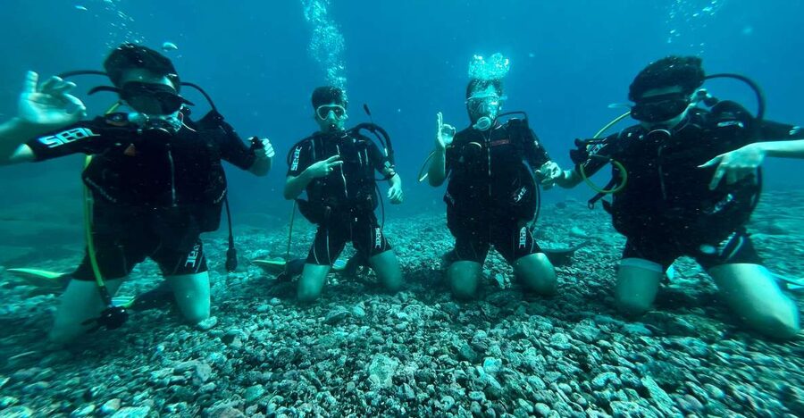 Tenerife : Diving License international in one day - Who will enjoy this most