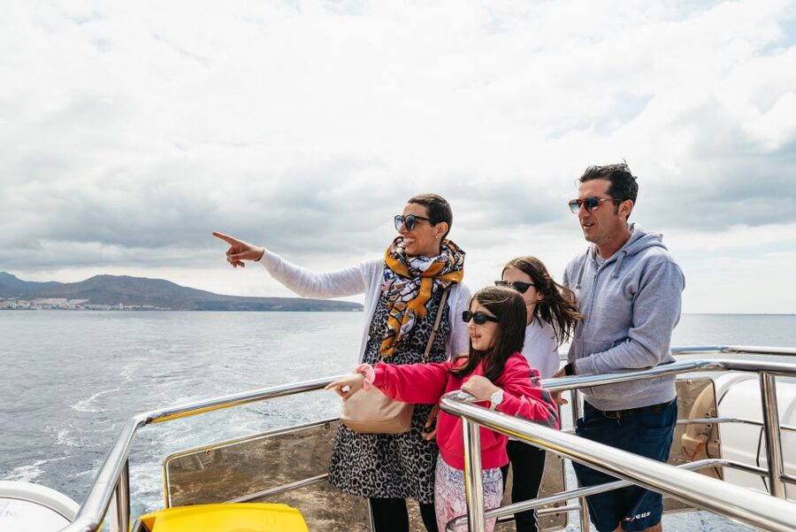 Tenerife: Eco-Yacht Whale and Dolphin Watching and Swimming - Watching whales and dolphins without a chase