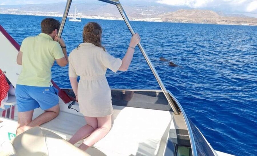 Tenerife: Eco-Yacht Whale and Dolphin Watching and Swimming - The swimming and snorkeling stop