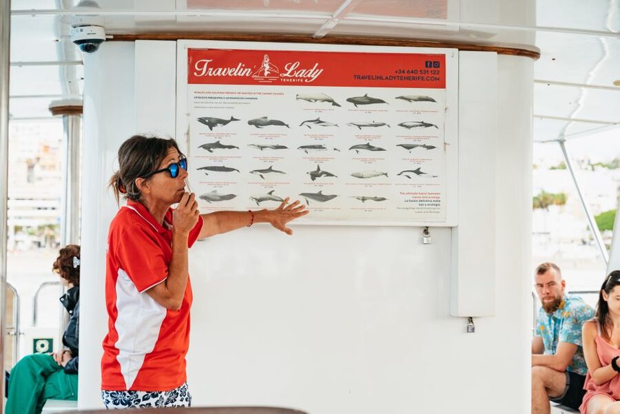 Tenerife: Eco-Yacht Whale and Dolphin Watching and Swimming - Travelin Lady is built for whale watching