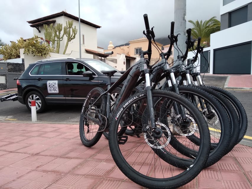 Tenerife: Electric Mountain Bike Rental with Hotel Delivery - Who will enjoy this ride most?