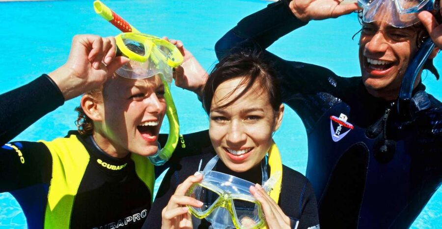 Tenerife Exclusive Snorkeling Trip with Marine Biologist - What the three-hour Tenerife outing is really like