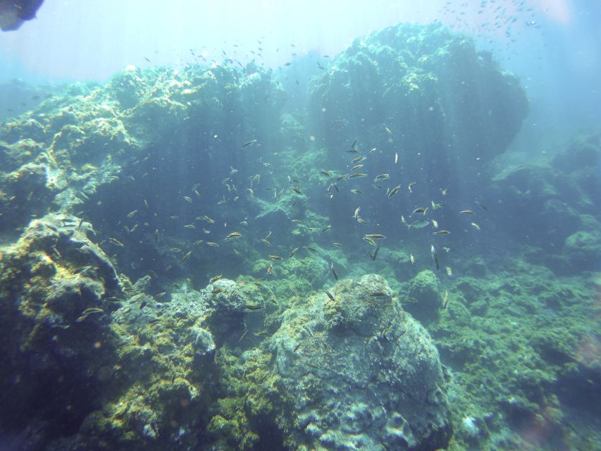 Tenerife Exclusive Snorkeling Trip with Marine Biologist - Getting comfortable with the mask and snorkel