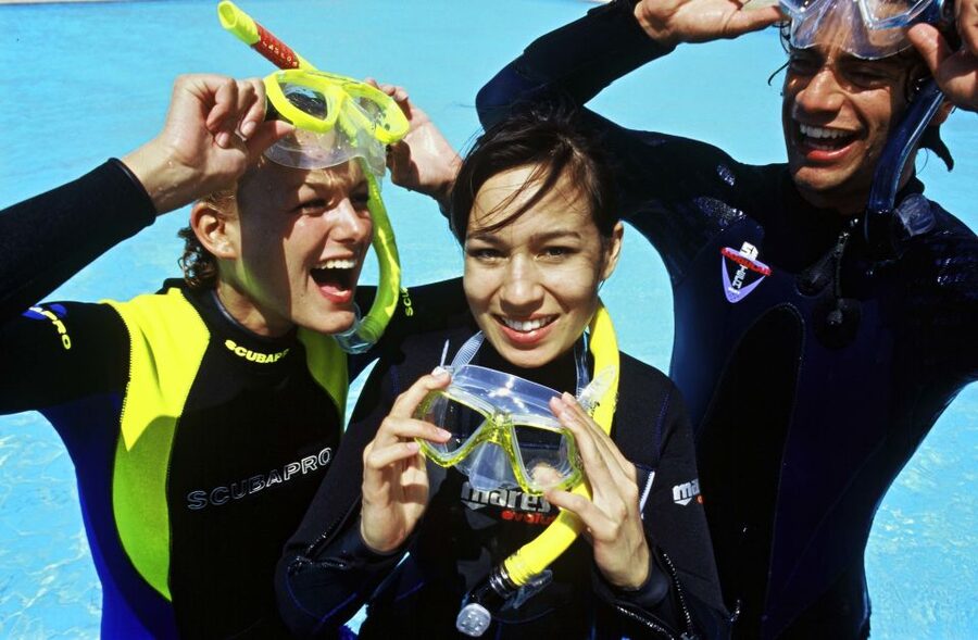 Tenerife Exclusive Snorkeling Trip with Marine Biologist - Looking for whales and dolphins on the way back