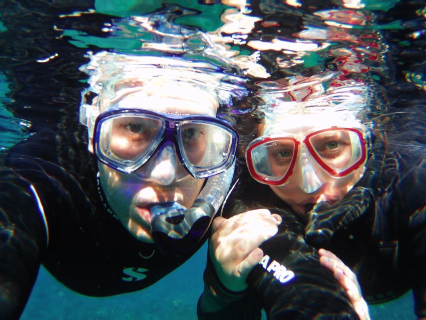Tenerife Exclusive Snorkeling Trip with Marine Biologist - Is $94 a fair price?
