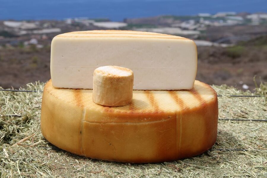 Tenerife - Farm Tour with Cheese Tasting - Meeting Tenerife’s goats at Quesería Montesdeoca