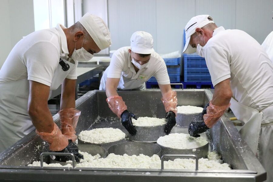 Tenerife - Farm Tour with Cheese Tasting - The cheese tasting: fresh, smoked, semicured, and aged