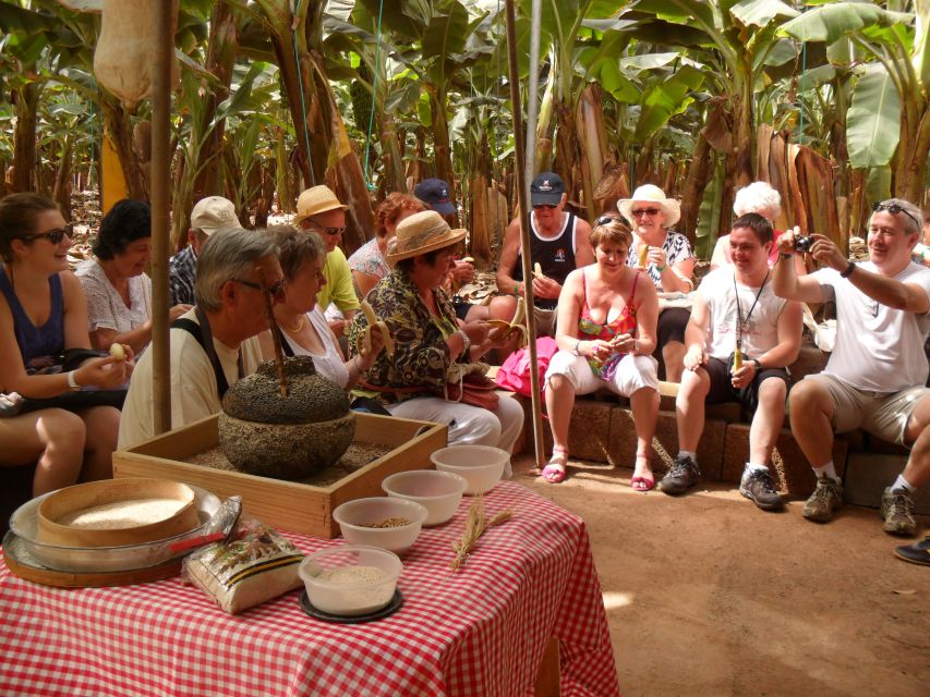 Tenerife: Finca Las Margaritas Banana Plantation Experience - El Cuartito and the small farm shop