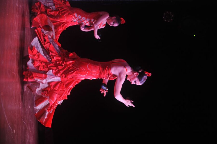 Tenerife: Flamenco Performance at Teatro Coliseo - Is $37 a fair price?