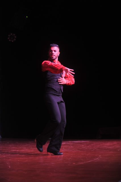 Tenerife: Flamenco Performance at Teatro Coliseo - Sala Coliseo and the setting