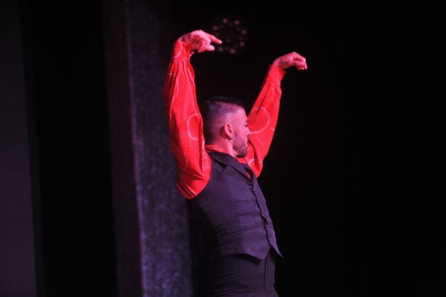 Tenerife: Flamenco Performance at Teatro Coliseo - Standard ticket or VIP seating?