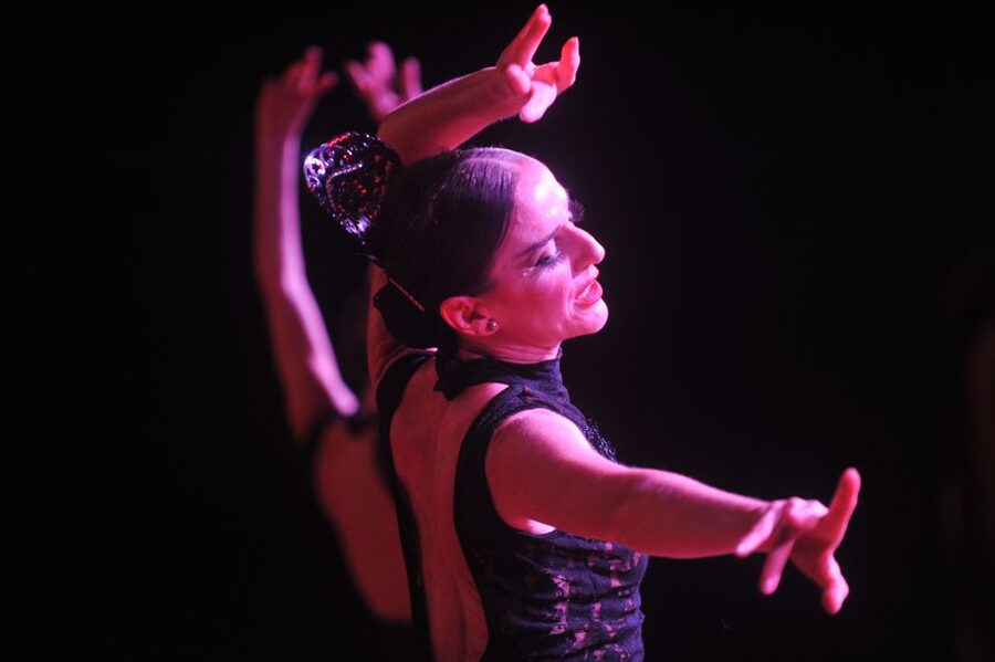 Tenerife: Flamenco Performance at Teatro Coliseo - Hotel pickup from Tenerife’s resort areas