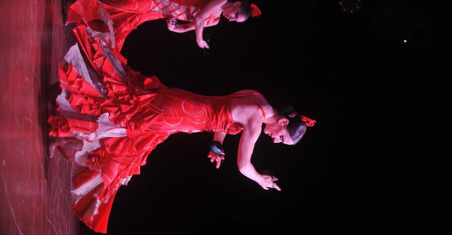 Tenerife: Flamenco Performance at Teatro Coliseo - The dancers, singer, and guitarist