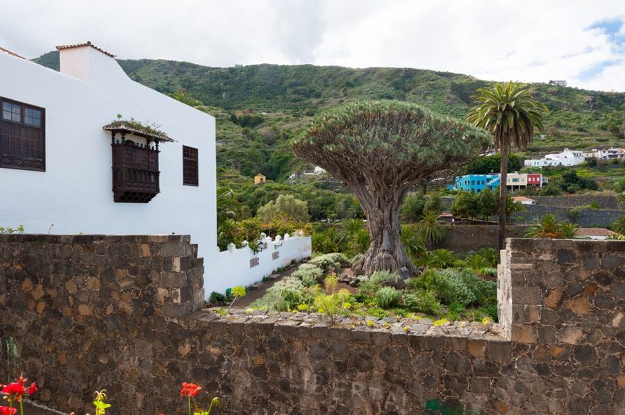 Tenerife: Full-Day Guided Island Tour - Key points to know before you book