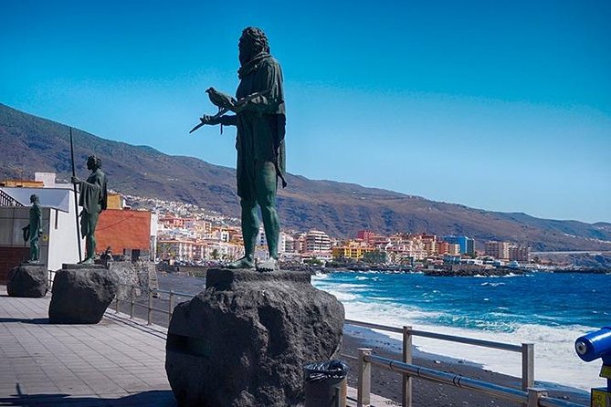 Tenerife Full Island Tour - Guides, languages, and the group-size question