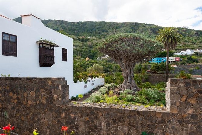 Tenerife Full Island Tour - Who should book this island circuit?
